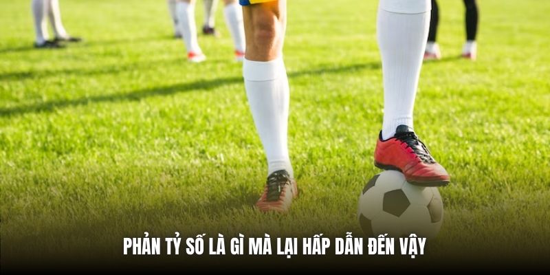 Phản tỷ số là gì mà lại hấp dẫn đến vậy 