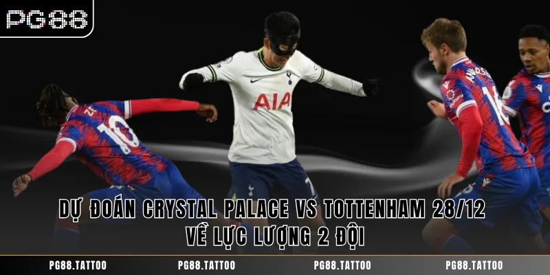 Dự Đoán Crystal Palace Vs Tottenham 28/12 - Nhận Định Nhanh Dự đoán Crystal Palace vs Tottenham 28/12 về lực lượng 2 đội