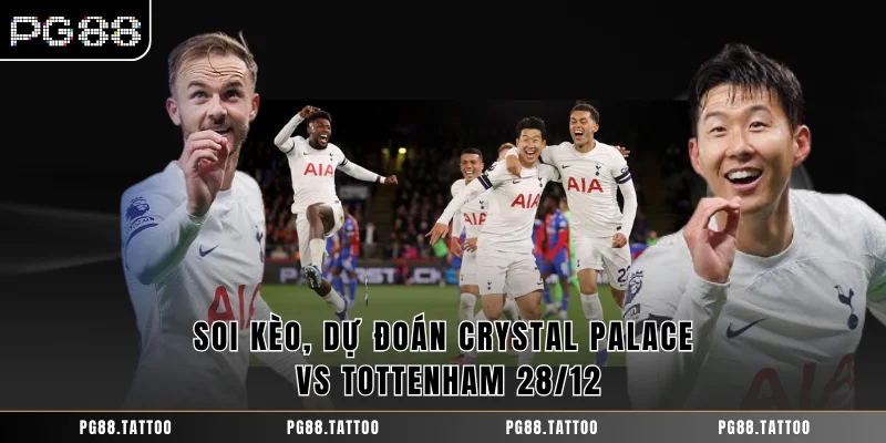 Dự Đoán Crystal Palace Vs Tottenham 28/12 - Nhận Định Nhanh Soi kèo, dự đoán Crystal Palace vs Tottenham 28/12